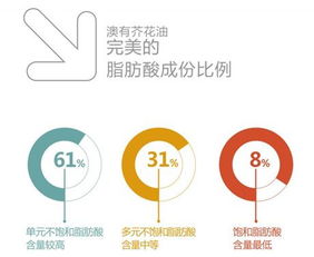 自貿(mào)區(qū)內(nèi)智利原產(chǎn)橄欖油轉(zhuǎn)口貿(mào)易可行性分析